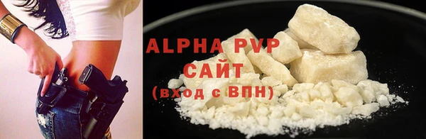 PSILOCYBIN Заволжье