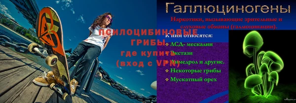 PSILOCYBIN Заволжье