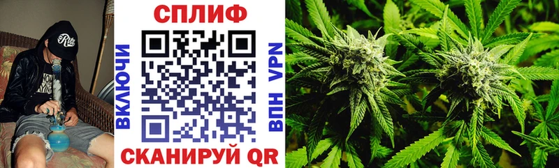 Бошки Шишки Amnesia  Купить  Дзержинский 